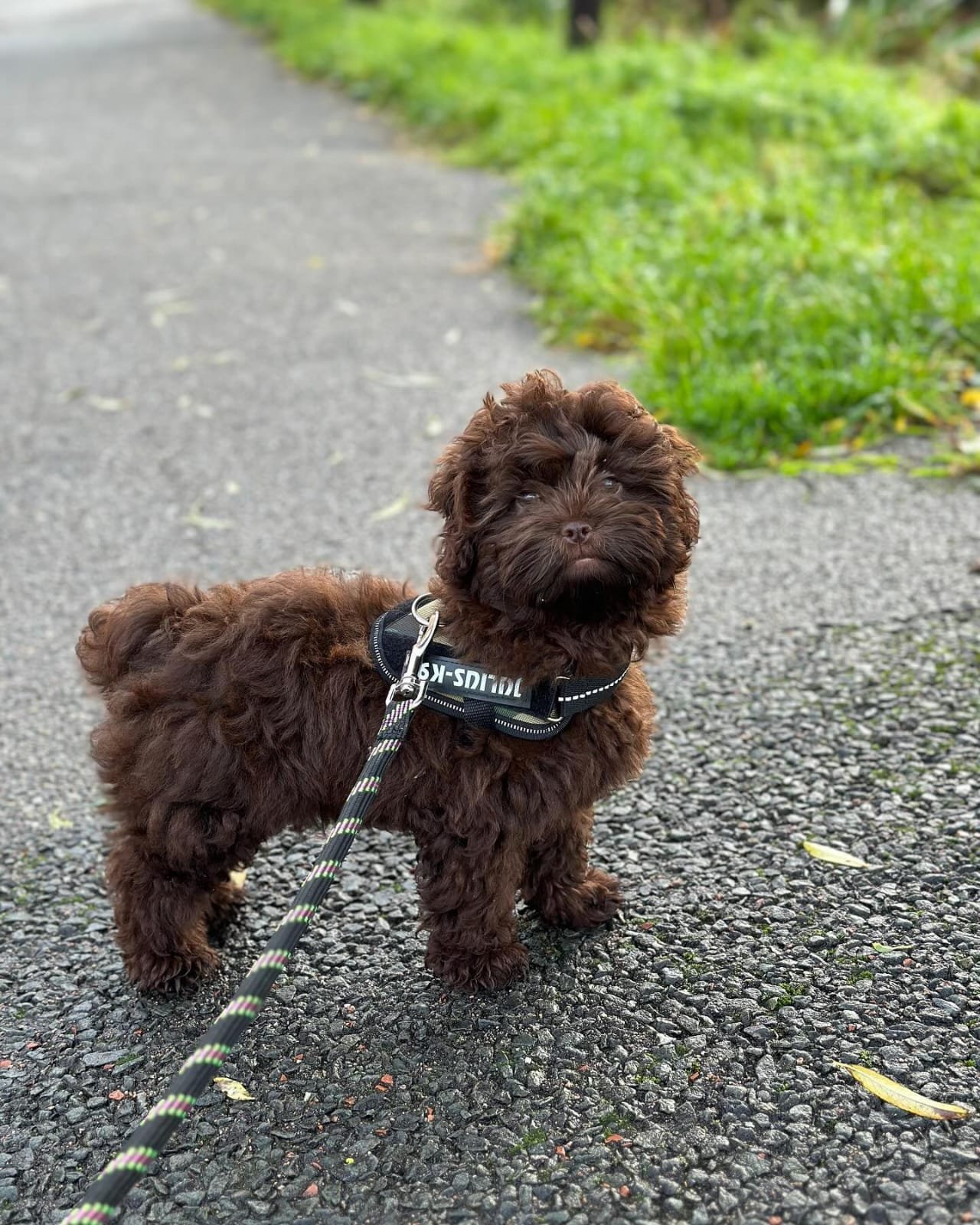 WhatsApp Image 2024-10-12 at 4.27.08 PM (1)