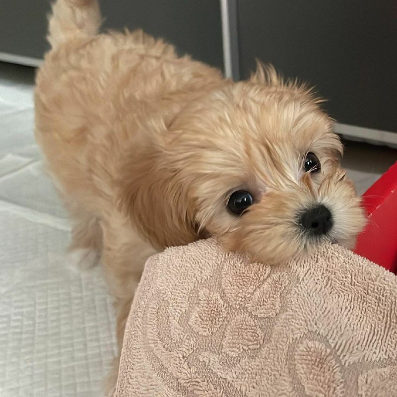 a3d0654f-6b62-46a7-b9f3-dbacf09945d3